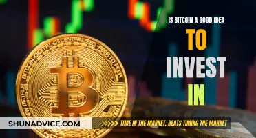 Bitcoin: A Smart Investment Idea or Risky Business?