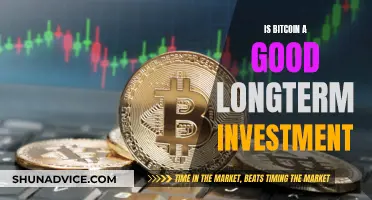 Bitcoin's Future: Long-Term Investment or Risky Gamble?