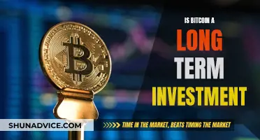 Bitcoin's Future: Long-Term Investment or Short-Lived Hype?