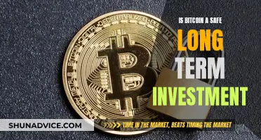 Bitcoin's Future: Safe Long-Term Investment?