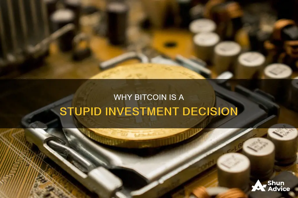 is bitcoin a stupid investment