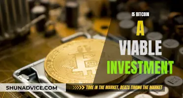 Bitcoin's Future: A Viable Investment?