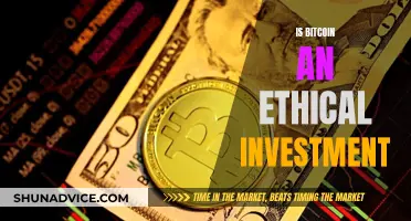 Bitcoin's Ethical Investment: Exploring the Moral Minefield