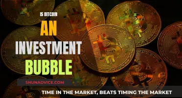 Bitcoin: Investment Bubble or the Future of Finance?