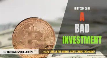 Bitcoin Cash: A Risky Investment Move?