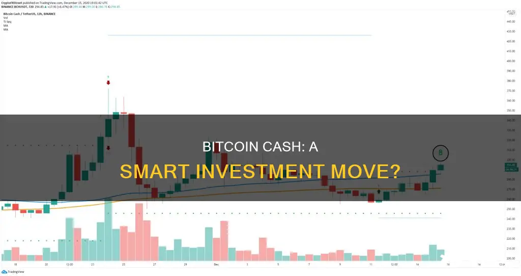 is bitcoin cash a good investment