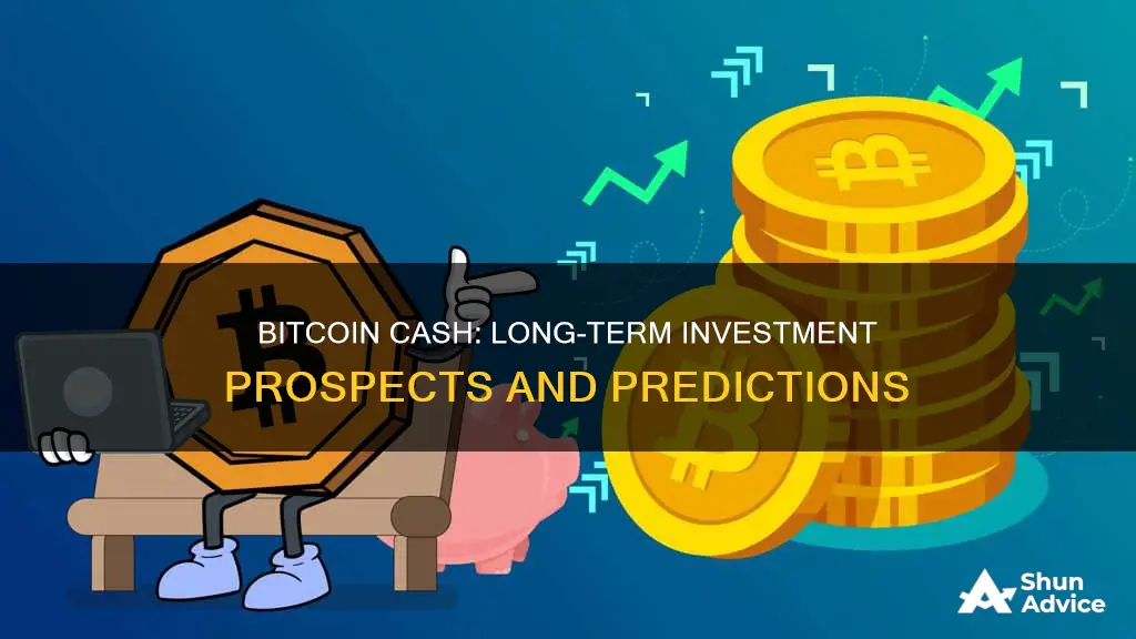 is bitcoin cash a good long term investment