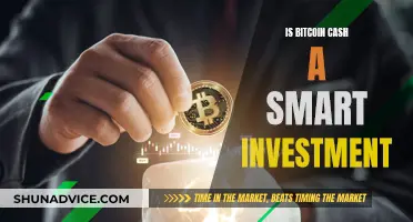 Bitcoin Cash: Smart Investment or Risky Bet?