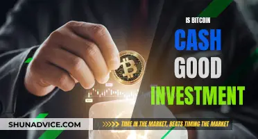 Bitcoin Cash: A Smart Investment Move?