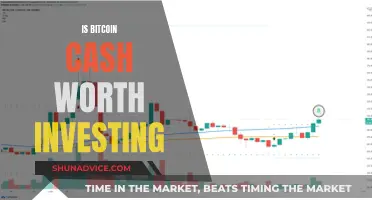 Bitcoin Cash: A Smart Investment Move?