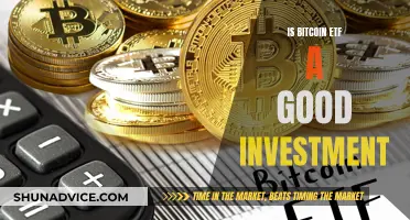 Bitcoin ETF: Smart Investment or Risky Business?