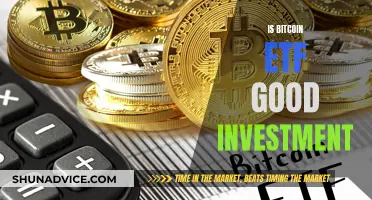 Bitcoin ETF: A Smart Investment Move?