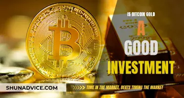 Bitcoin Gold: A Smart Investment Move?