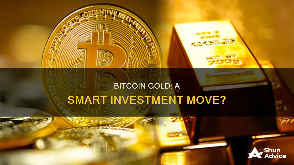 is bitcoin gold a good investment