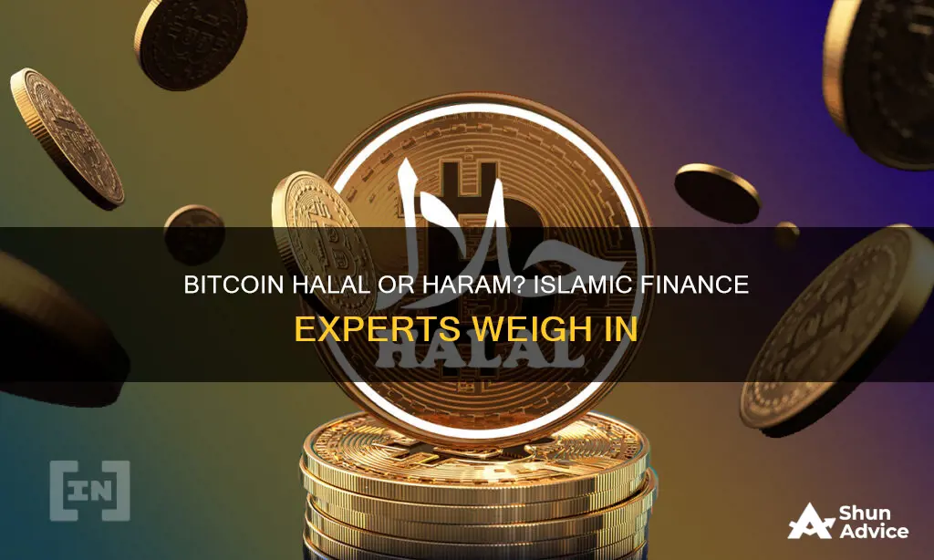 is bitcoin investing halal