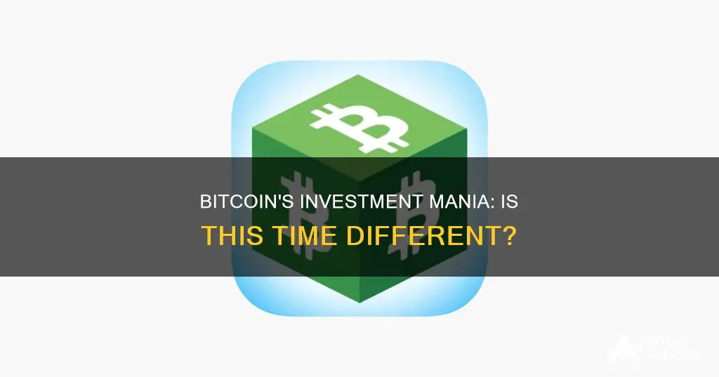 is bitcoin investment mania different