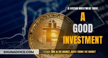 Bitcoin Investment Trust: A Smart Investment Move?