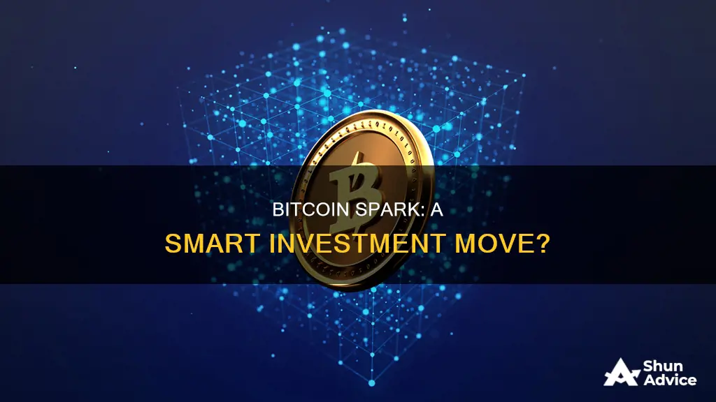 is bitcoin spark a good investment