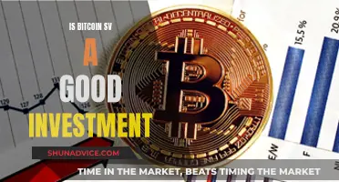 Bitcoin SV: A Smart Investment Decision?