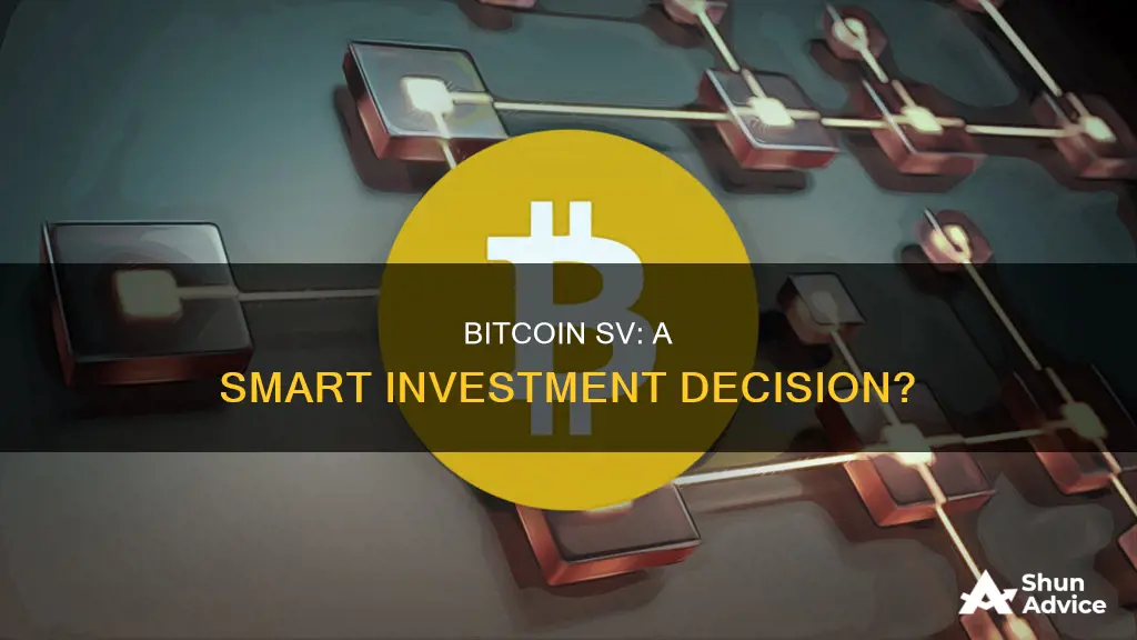 is bitcoin sv a good investment