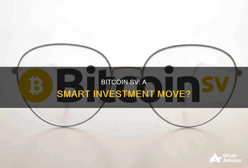 is bitcoin sv worth investing in