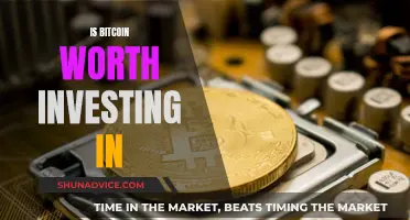 Bitcoin: Worth the Investment Risk?