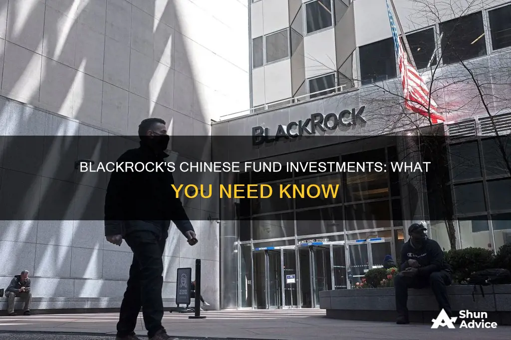 is black rock invested in any chinese funds