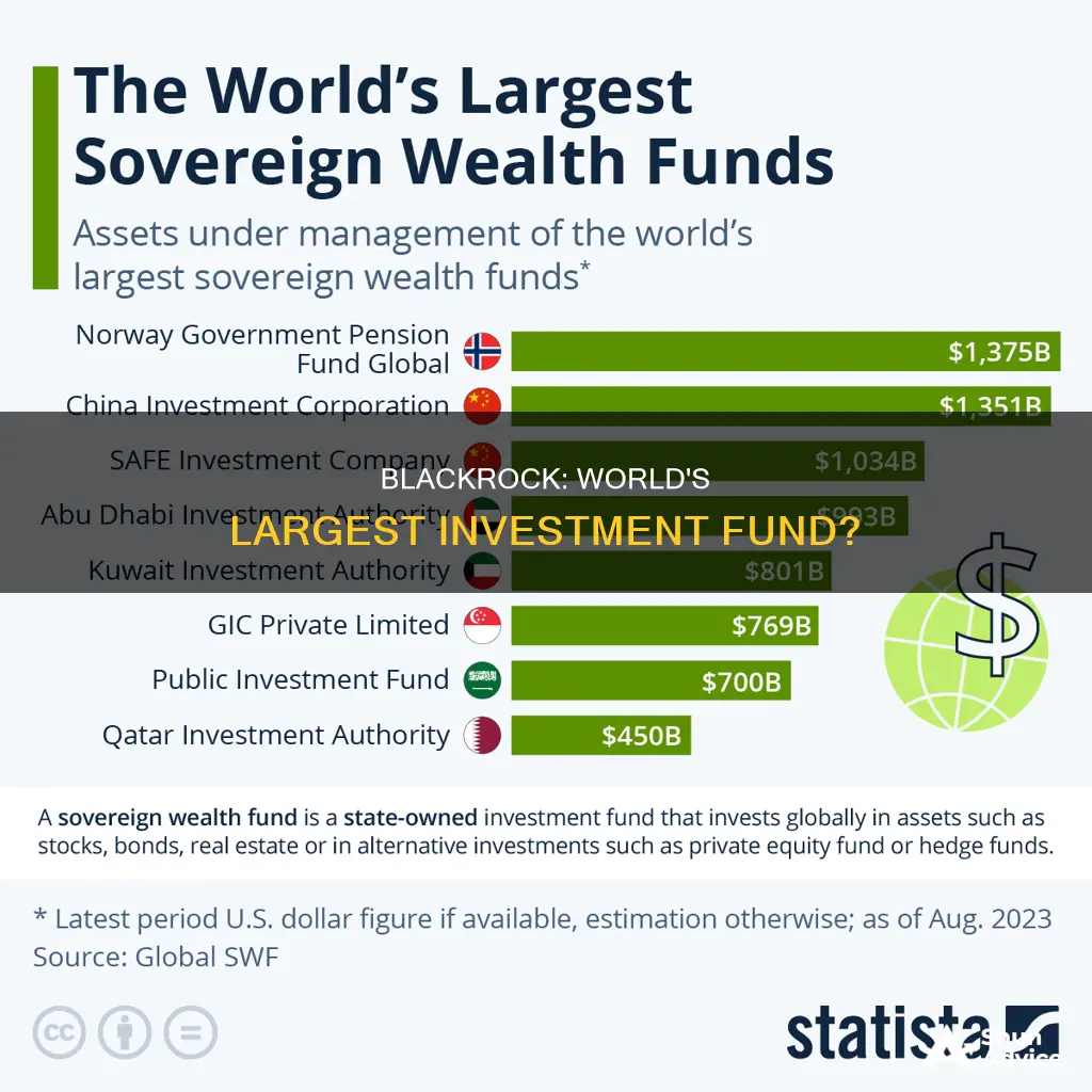 is blackrock the largest investment fund