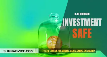 Blockchain Investment: Navigating the Risks and Rewards