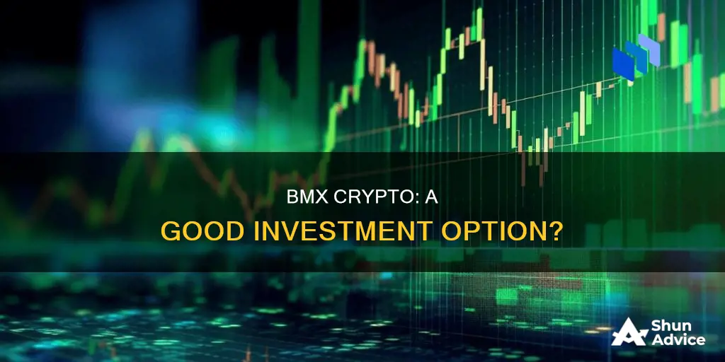 is bmx crypto a good investment