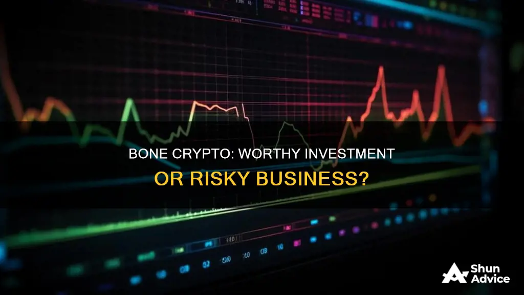 is bone crypto a good investment