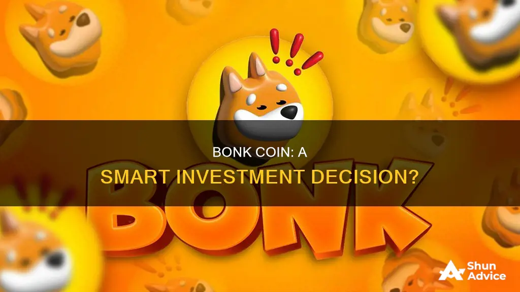 is bonk coin a good investment