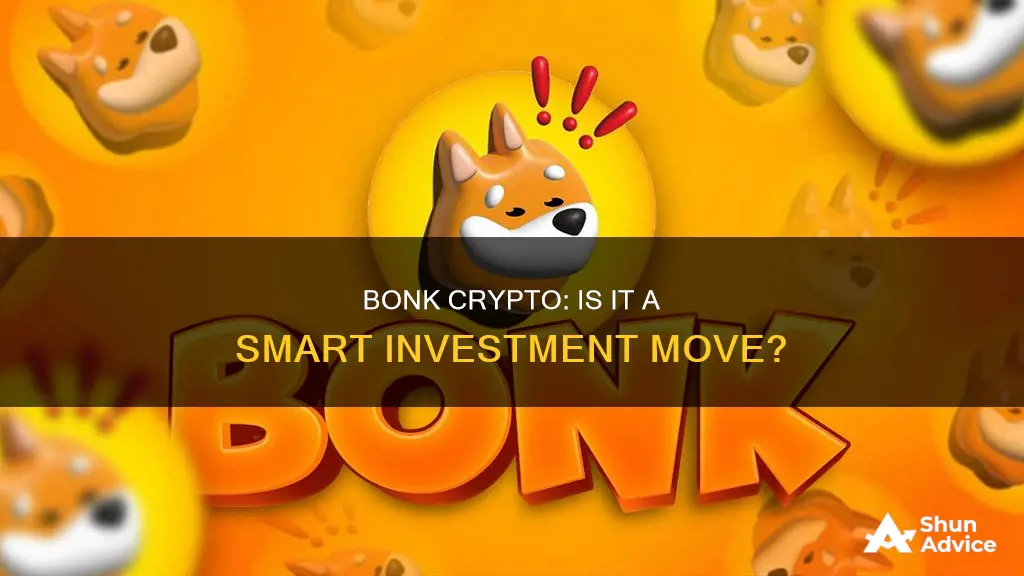 is bonk crypto a good investment