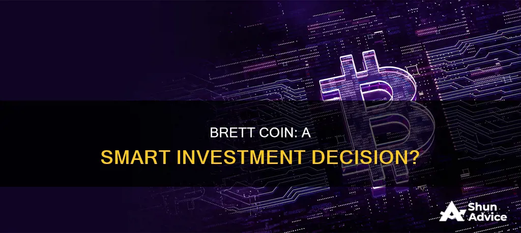 is brett coin a good investment