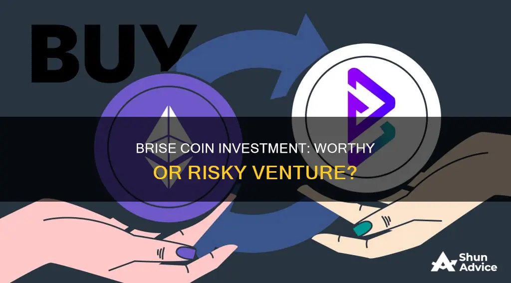 is brise coin a good investment