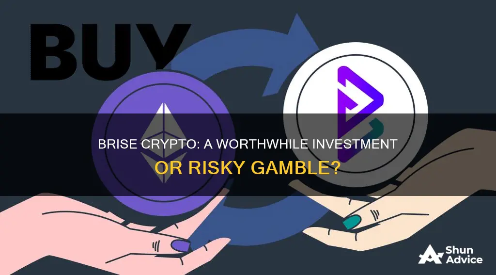 is brise crypto a good investment