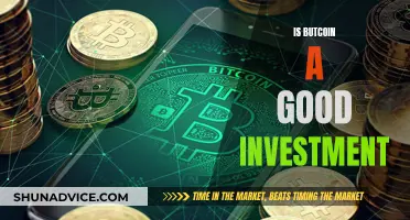 Bitcoin Investment: Worthwhile or Risky Venture?