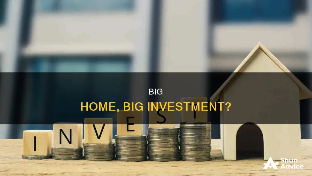 is buying a big home an investment