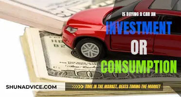 Car Conundrum: Investment or Expense?