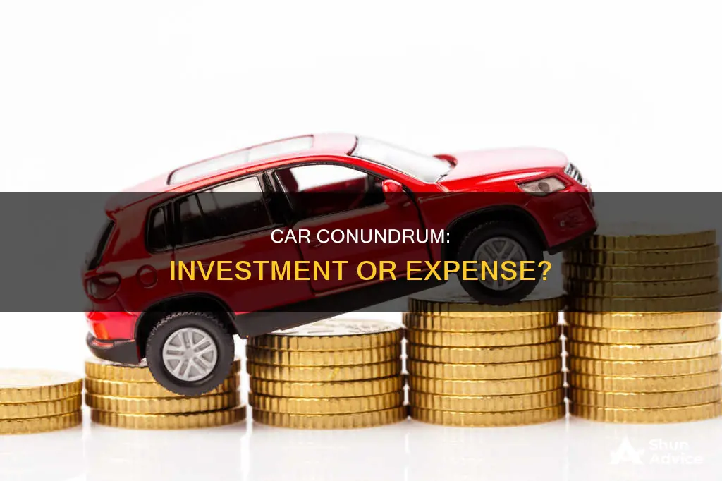 is buying a car an investment or consumption