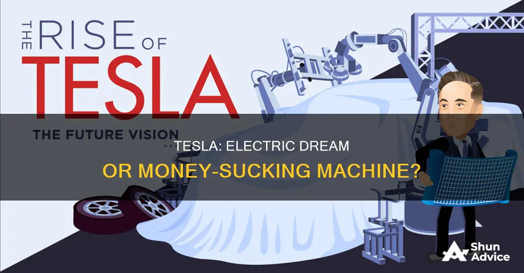 is buying a tesla a bad investment