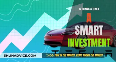 Tesla: A Smart Investment or an Expensive Mistake?