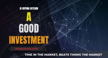 Bitcoin Investment: Good or Bad Idea?