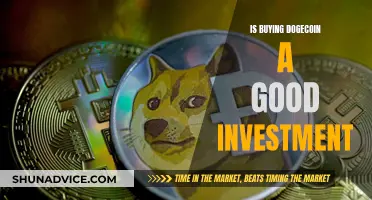 Dogecoin Investment: A Good Bet or Risky Business?