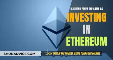 Ether and Ethereum: Exploring the Intricacies of Investment