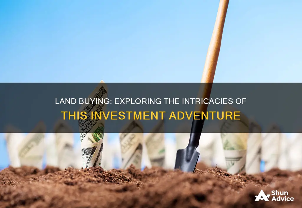 is buying land an investing activity