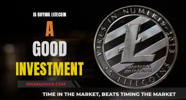 Litecoin Investment: Worthwhile or Risky Move?