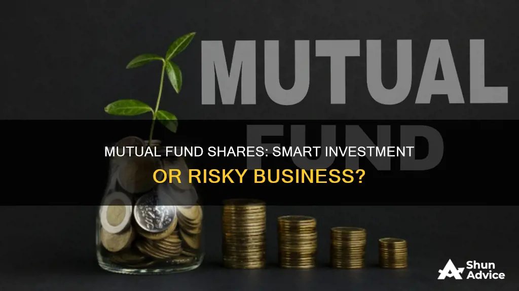 is buying mutual fund shares an investment