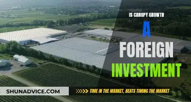 Canopy Growth: A Foreign Investment Perspective