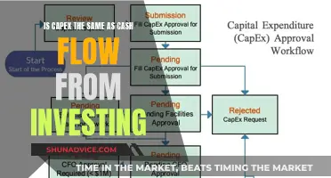 Understanding Capex and Cash Flow: Are They Synonymous?